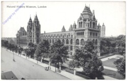 London, Natural History Museum