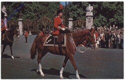 London, The Queen at Trooping the Colour Ceremony