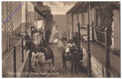 ak142091 Clovelly, High Street, looking Down