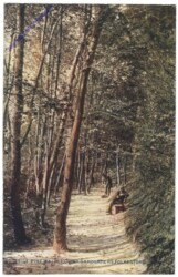 ak142153 Folkestone, Pine Walk, Lower Sandgate