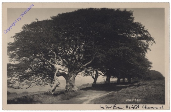 Holford, Ansicht