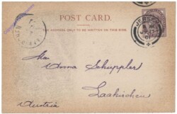 Jersey, Cabbage Stalks