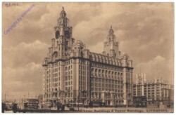 Liverpool, Royal Liver Buildings & Tower Buildings