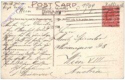 ak142293a Nottingham, Colwick Trees on the Trent