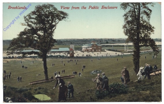 Weybridge, Wiew from the Public Enclosure
