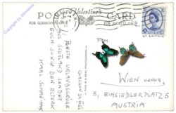 ak142507a Glasgow, Multiansicht