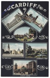 Cardiff, Multiansicht
