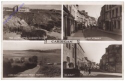 Cardigan, Multiansicht