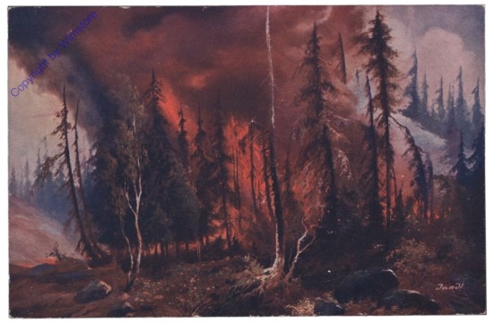 Waldbrand bei Tag