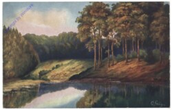 ak142633 Uferlandschaft