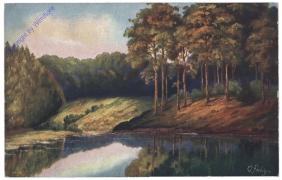 ak142633 Uferlandschaft