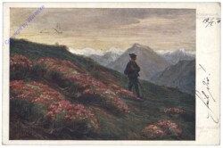 Almenrausch