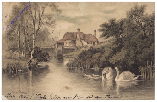 Schwäne am Teich