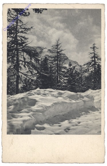Winterlandschaft