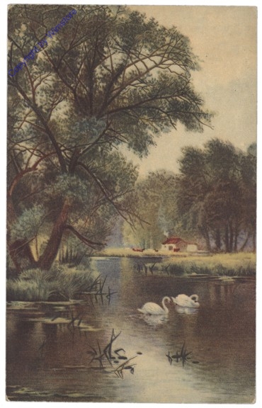 Am Teich
