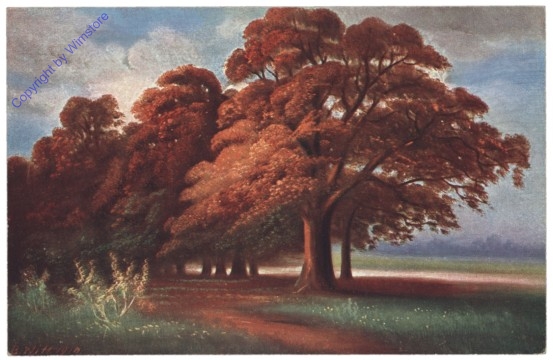 Baumlandschaft