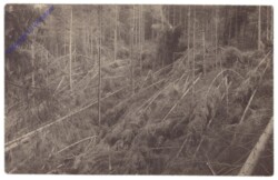 ak142743 Naturgewalt