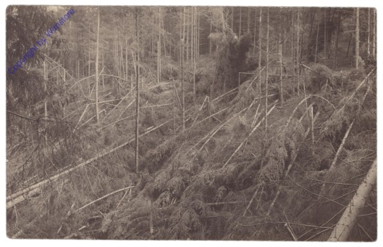 ak142743 Naturgewalt