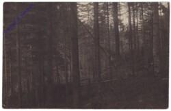ak142745 Naturgewalt