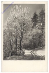 ak142758 Winterlandschaft