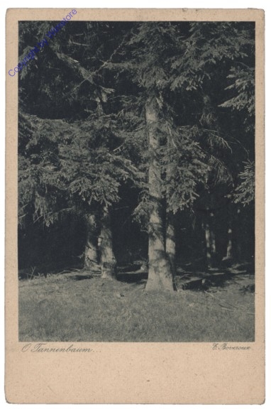 ak142777 O Tannenbaum