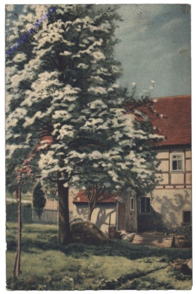 ak142793 Frühjahr
