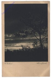 Alpenfriede