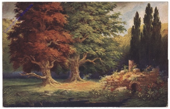 Waldeinsamkeit