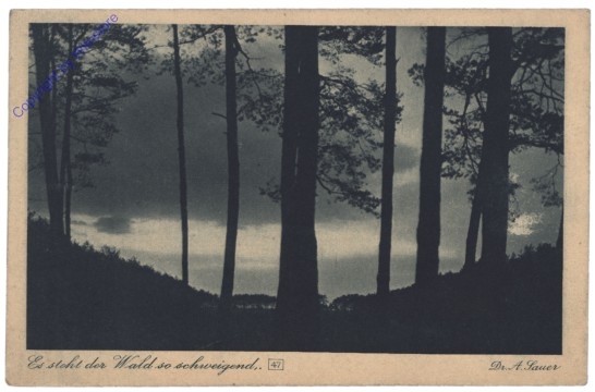 Es steht der Wald so schweigend, ...