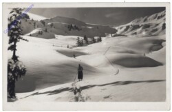 Winterlandschaft