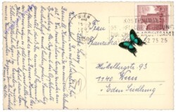 ak142826a Ansicht