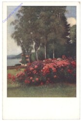 Parklandschaft