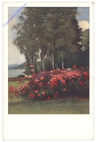 ak142862 Parklandschaft