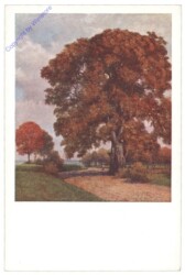 Herbstpracht
