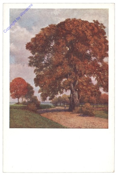 Herbstpracht