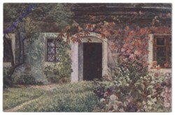ak142889 Weinlaub