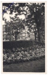 ak142891 Ansicht