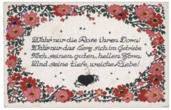 Wahr' nur die Rose ihren Dorn! ...