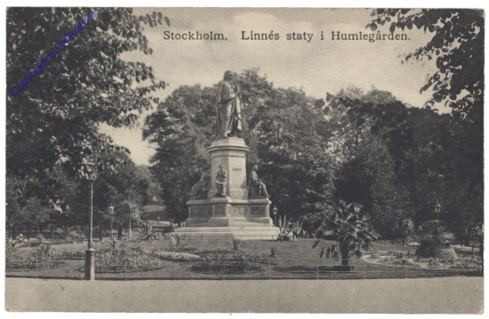 ak143204 Stockholm, Linnes staty i Humlegarden