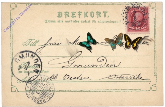 ak143206a Stockholm, Kungsträdgarden