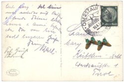 Auf der Kanzel des Adolf-Hitler-Passes
