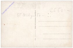 Mosaikboden aus dem ehem. Treuerer Gutsschloss Weilerbüsch bei Bitburg