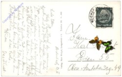 Reichenbach i.V., Adolf-Hitler-Hain