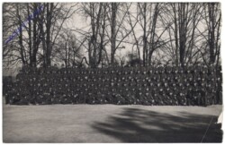ak143636 Portrait