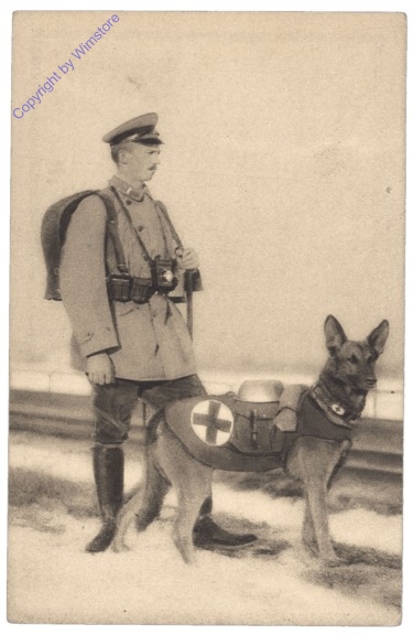 ak143678 Sanitätshund Troll in feldmarschmäßiger Ausrüstung mit seinem Führer