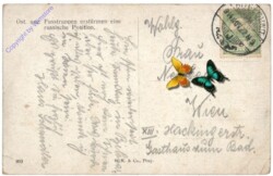 Öst.ung. Fusstruppen erstürmen eine russische Position