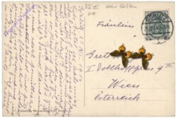 Weihnachten 1914