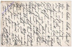 Es kribbelt, es krabbelt ...