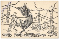 Nr 25 - Caros Front-Dienstleistung