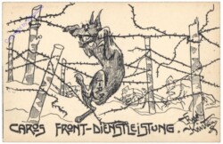 Nr 25 - Caros Front-Dienstleistung